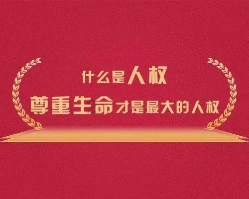 蒙奇d路飞的d是什么意思 蒙奇d路飞的d意思是什么-独家冷知识分享平台